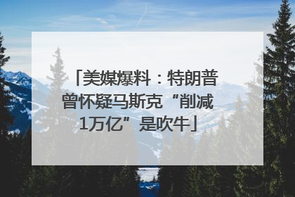美媒爆料：特朗普曾怀疑马斯克“削减1万亿”是吹牛